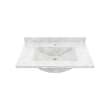 Contour 22 x 31 Single Bowl Vanity Top in Ice, CV02231.130