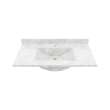 Contour 22 x 37 Single Bowl Vanity Top in Ice, CV02237.130