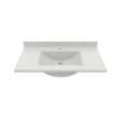Contour 22 x 37 Single Bowl Vanity Top in Birch, CV02237.226