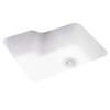 15 x 22 Swanstone(R) Undermount Single Bowl Sink in Tahiti White, US02215SB.011