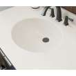 Ellipse 22 x 55 Single Bowl Vanity Top in Coastal Sands, VC02255.013