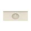 Ellipse 22 x 55 Single Bowl Vanity Top in Coastal Sands, VC02255.013