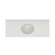 Ellipse 22 x 55 Single Bowl Vanity Top in Birch, VC02255.226