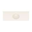 Ellipse 22 x 61 Single Bowl Vanity Top in Tahiti White, VC02261.011