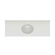 Ellipse 22 x 61 Single Bowl Vanity Top in Birch, VC02261.226
