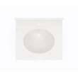 Ellipse 17 x 19 Single Bowl Vanity Top in Carrara, VT01719.221