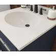 Ellipse 19 x 31 Single Bowl Vanity Top in Coastal Sands, VT01931.013