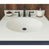 Ellipse 22 x 25 Single Bowl Vanity Top in Bisque, VT02225.018