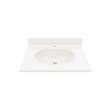 Ellipse 22 x 25 Single Bowl Vanity Top in Bisque, VT02225.018