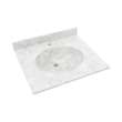 Ellipse 22 x 25 Single Bowl Vanity Top in Ice, VT02225.130