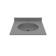 Ellipse 22 x 25 Single Bowl Vanity Top in Ash Gray, VT02225.203