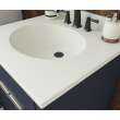 Ellipse 22 x 31 Single Bowl Vanity Top in Bisque, VT02231.018