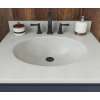 Ellipse 22 x 31 Single Bowl Vanity Top in Birch, VT02231.226