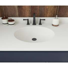 Ellipse 22 x 43 Single Bowl Vanity Top in White, VT02243.010