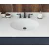 Ellipse 22 x 43 Single Bowl Vanity Top in Tahiti White, VT02243.011