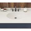 Ellipse 22 x 43 Single Bowl Vanity Top in Coastal Sands, VT02243.013