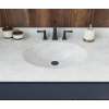 Ellipse 22 x 43 Single Bowl Vanity Top in Ice, VT02243.130