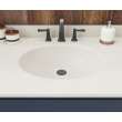 Ellipse 22 x 49 Single Bowl Vanity Top in Coastal Sands, VT02249.013