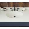 Ellipse 22 x 49 Single Bowl Vanity Top in Bisque, VT02249.018