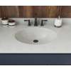 Ellipse 22 x 49 Single Bowl Vanity Top in Birch, VT02249.226