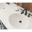 Ellipse 22 x 61 Double Bowl Vanity Top in Coastal Sands, VT022612B.013