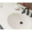 Ellipse 22 x 61 Double Bowl Vanity Top in Coastal Sands, VT022612B.013