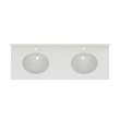 Ellipse 22 x 61 Double Bowl Vanity Top in Birch, VT022612B.226