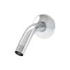 6" Shower Arm & Flange