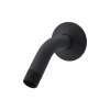 6" Shower Arm & Flange