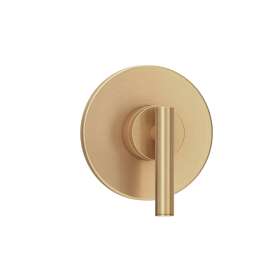 Dia Diverter Valve Trim