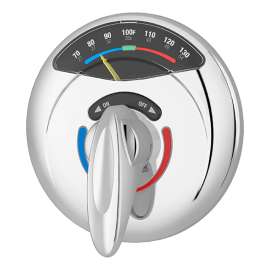 Visu-Temp(R) Shower Valve