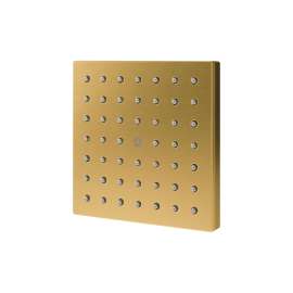 5" Single-Function Showerhead