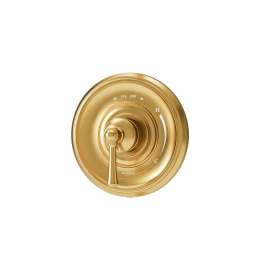 Braston Shower Valve Trim