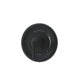 Braston Shower Valve Trim