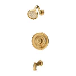 Braston Tub and Shower Trim Kit for Test Cap Valve