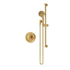 Braston Hand Shower Trim Kit for Test Cap Valve