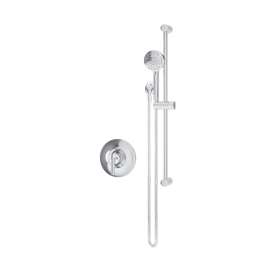 Birch Hand Shower Trim