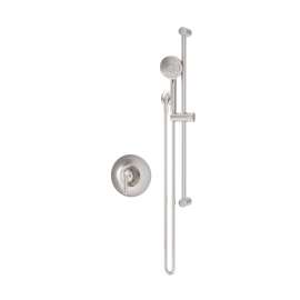 Birch Hand Shower Trim