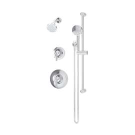 Birch Shower and Hand Shower Trim