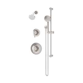 Birch Shower and Hand Shower Trim