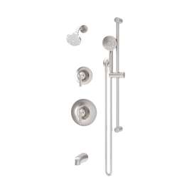 Birch Shower System Trim