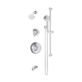 Birch Shower System Trim