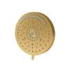 6" Multifunction Showerhead
