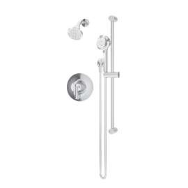 Birch Shower and Hand Shower Trim with VersaFlex Integral Diverter