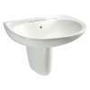 Toto Prominence 26-In Wall-Mounted Bathroom Sink With 3 Faucet Holes