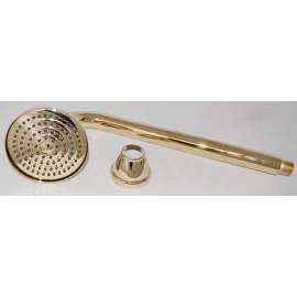 Shower Head Assembly in Polished Brass