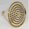 Shower Head in Polished Brass