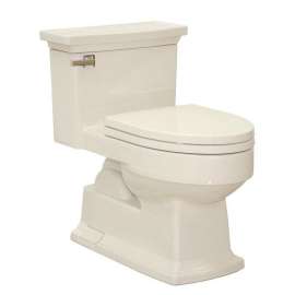 1.6 GPF One-Piece Elongated Comfort Height Toilet with Seat and G-Max Flushing Technology - Seat Included in Bone