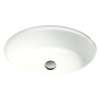 18-3/4-in Undermount Bathroom Sink with Overflow in Colonial White