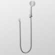 4-1/2-in Multi Function Handheld Shower in Brushed Nickel
